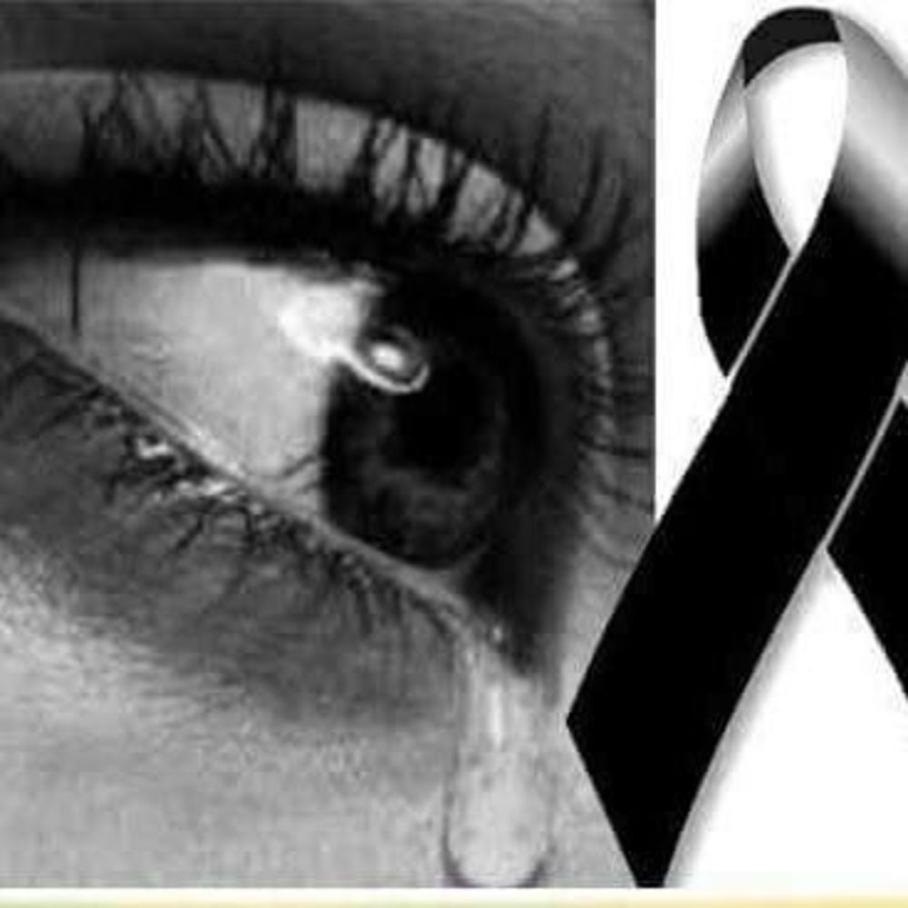 Meet your Posher, Bertha